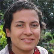 Clases particulares de violín y viola con violinista profesional.